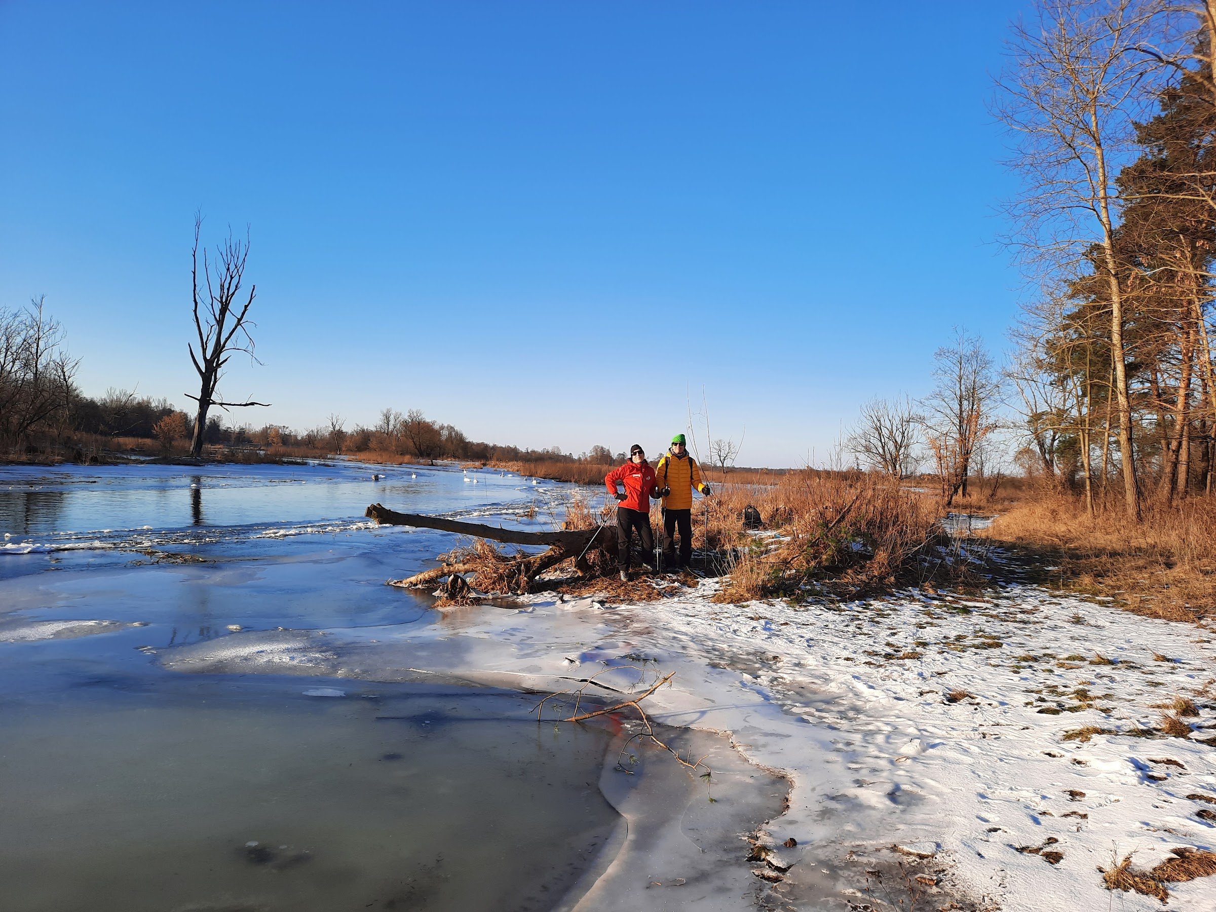 Puszcza Biała (White Forest)